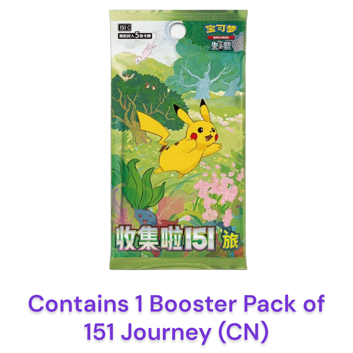 Pokémon 151 V4 - Magnet Box - Slim (Chinese)
