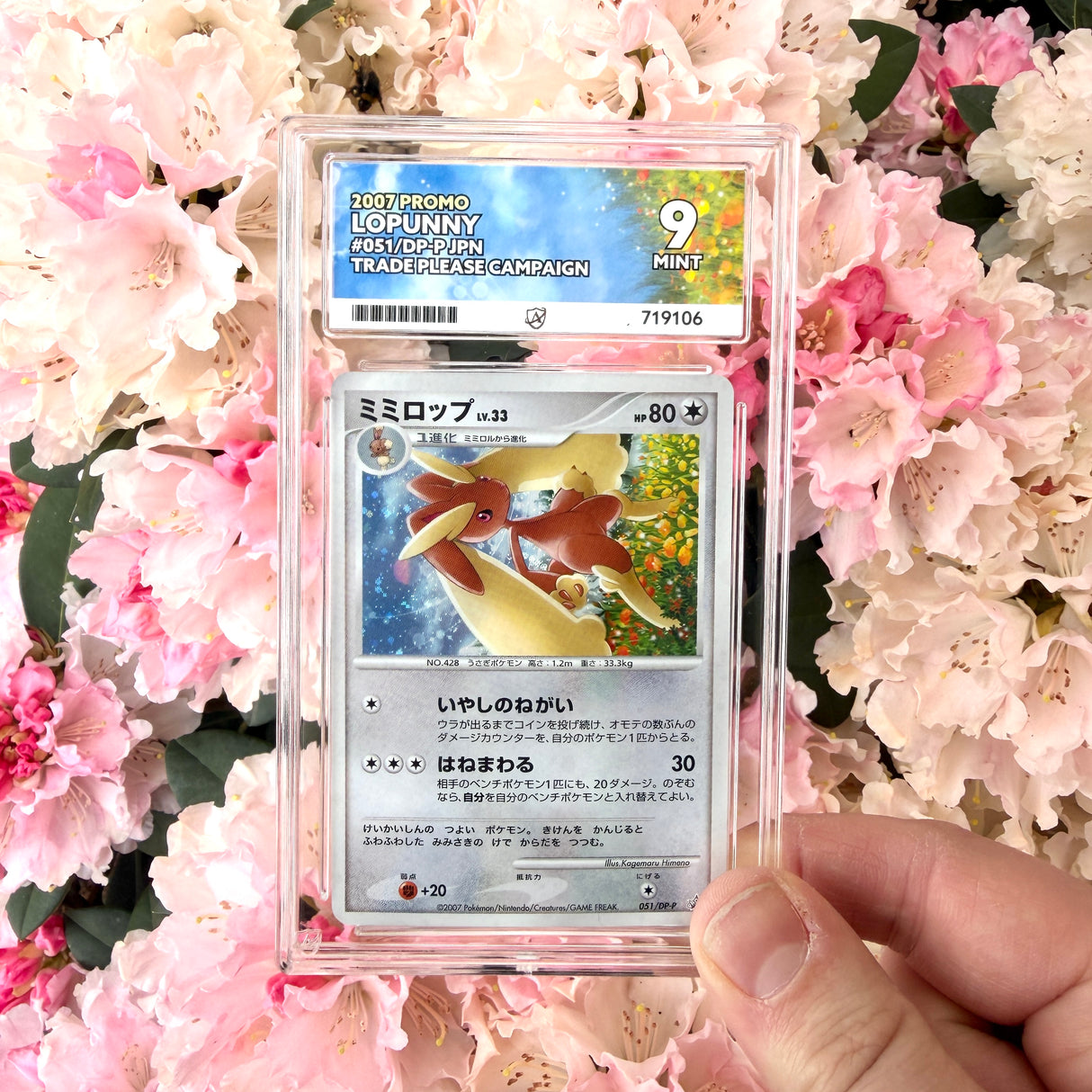 Ace 9 Lopunny 051/DP-P 2007 Promo Trade Please Campaign Japanese