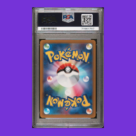 PSA 10 Cheren's Care 241/172 SAR VSTAR Universe Japanese